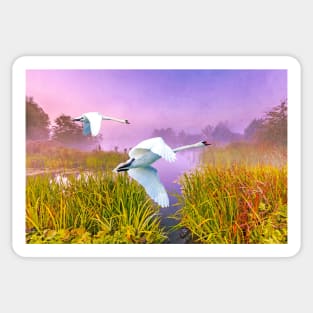 Mute Swans Over Marshes Sticker